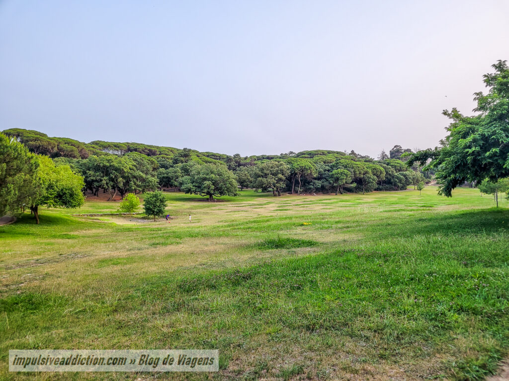 Parque da Paz