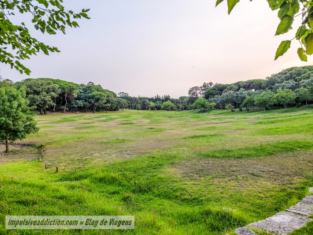 Parque da Paz