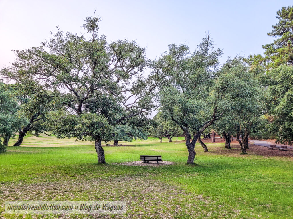Parque da Paz