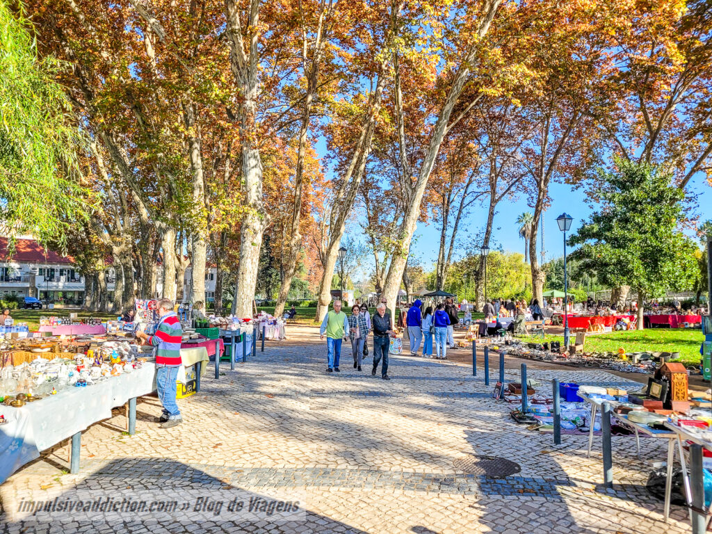 Parque do Mouchão