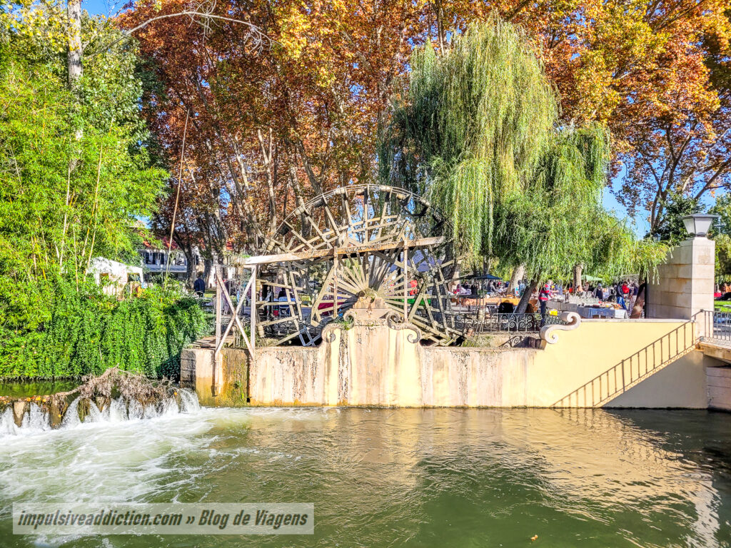 Parque do Mouchão