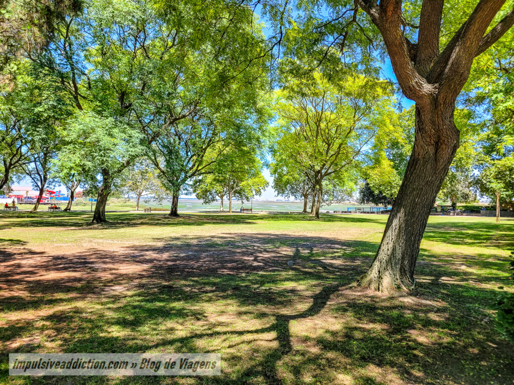 Parque Municipal Zeca Afonso