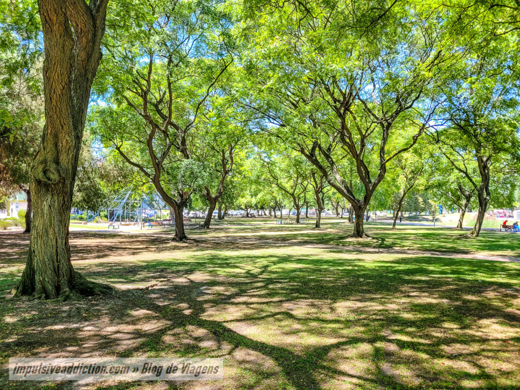 Parque Municipal Zeca Afonso