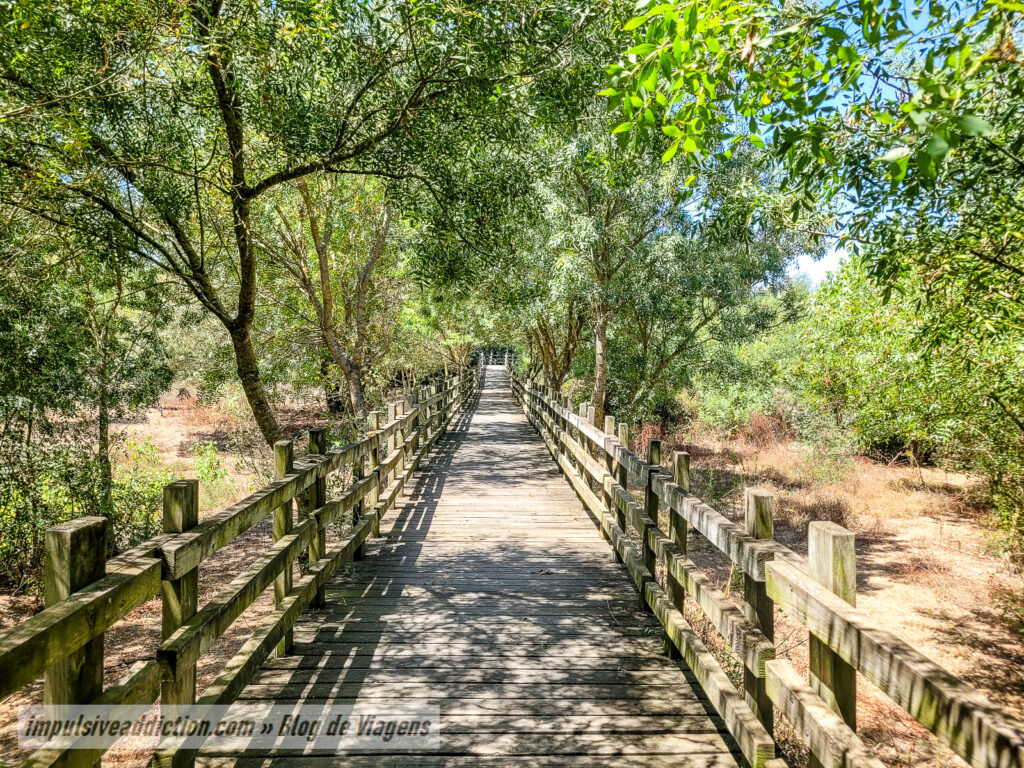 Parque Ribeirinho de Benavente
