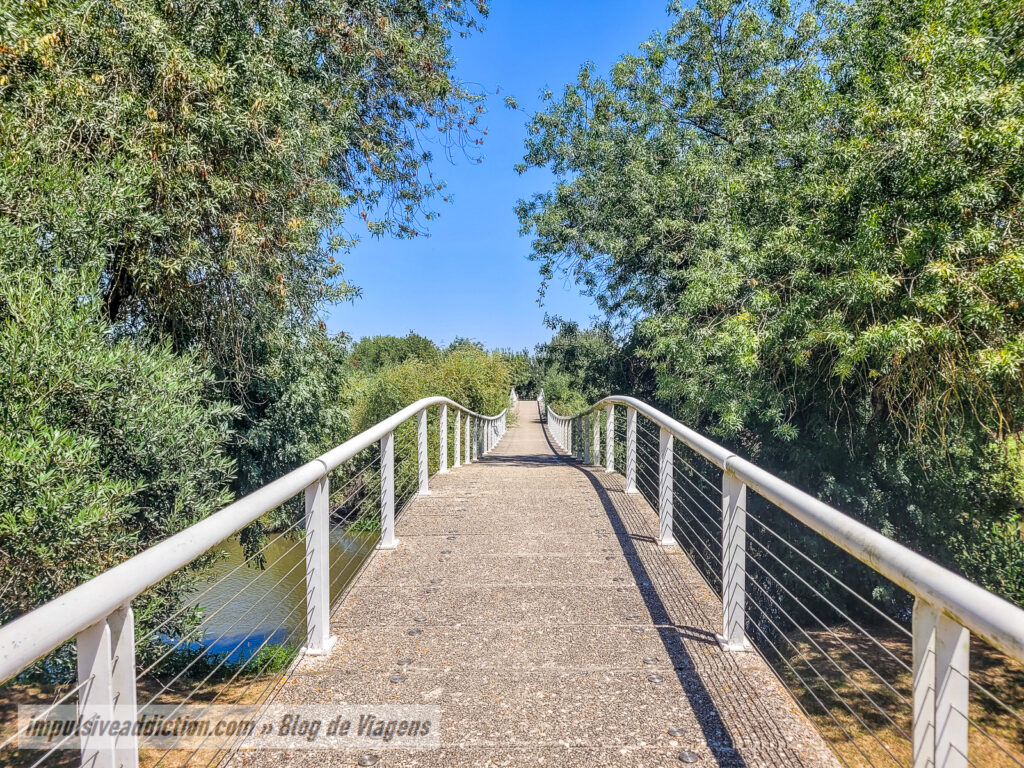 Parque Ribeirinho de Benavente