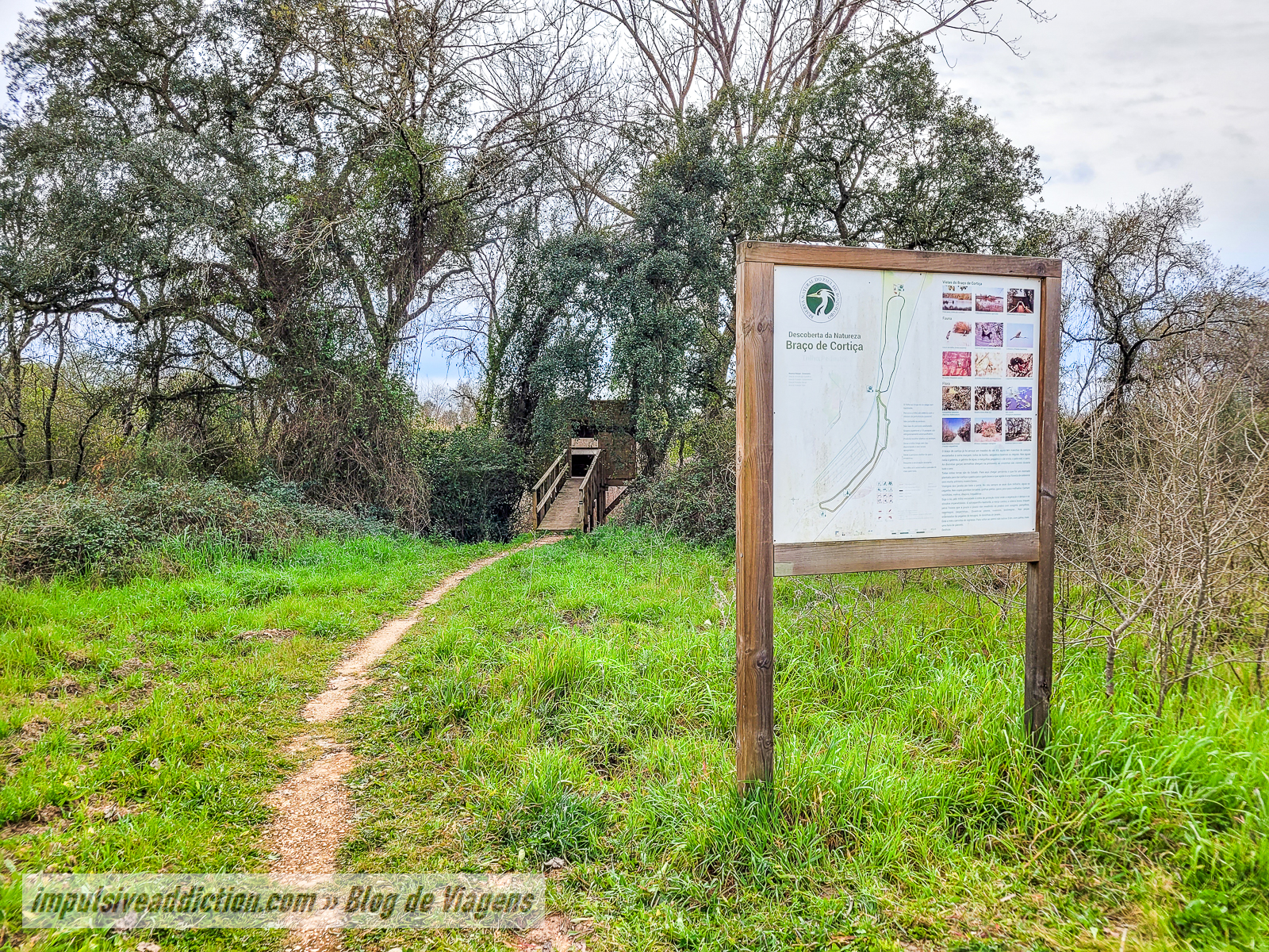 Reserva Natural do Paul do Boquilobo