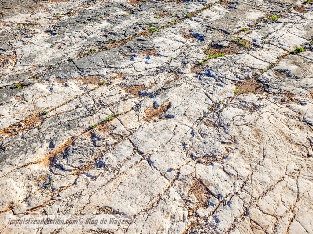 Pegadas de Dinossauros de Vale de Meios