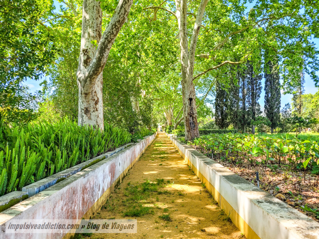 Quinta da Fidalga ao visitar o Seixal