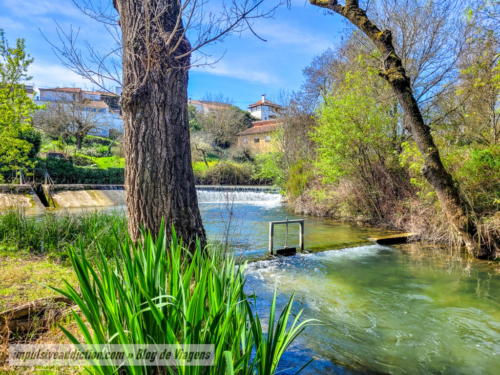 Praia Fluvial de Ribeira Branca