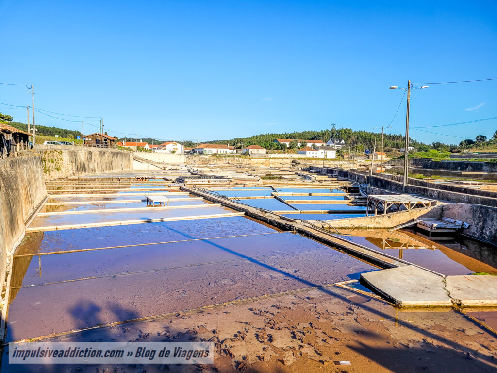 Salinas de Rio Maior