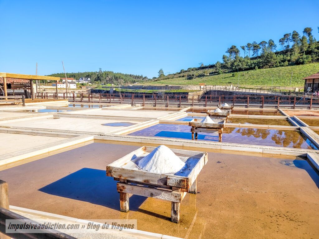 Salinas de Rio Maior